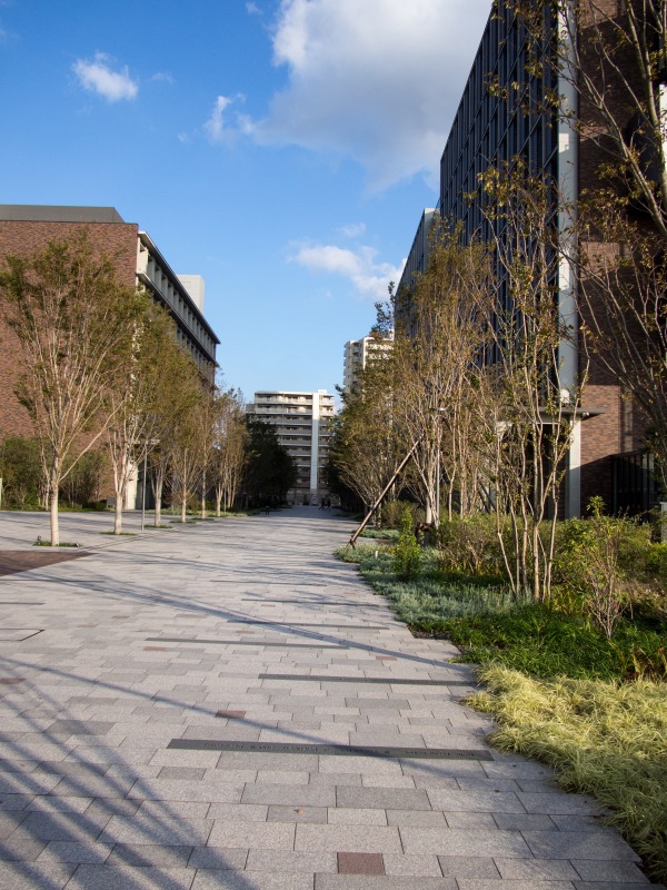 f0224100_22512564.jpg