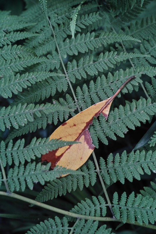 f0224100_6104670.jpg