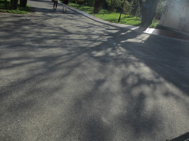 c0212604_21242333.jpg