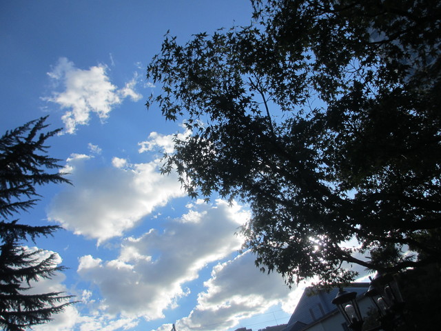 c0212604_21281731.jpg