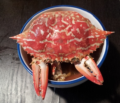 2013 秋イカエギング6~副産物げっとin若狭~_f0163105_14395284.jpg