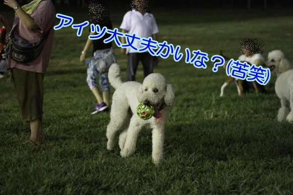 e0100007_2148563.jpg