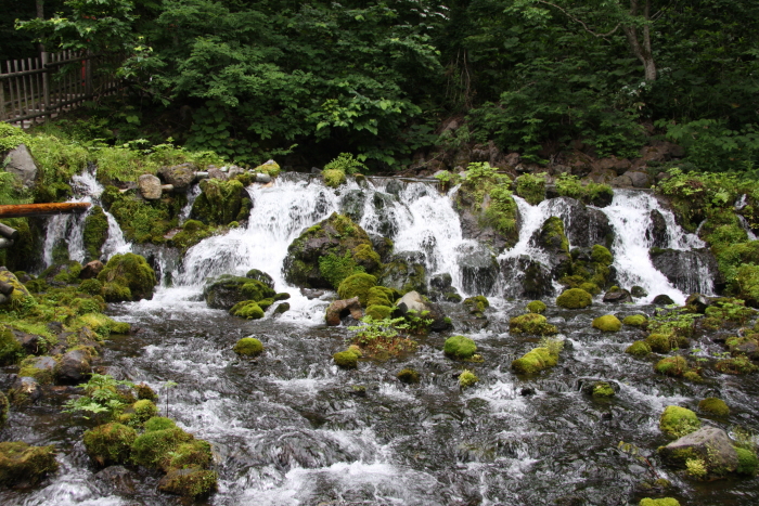 e0130008_20172965.jpg