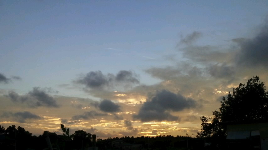 f0155808_187678.jpg