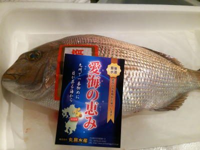 大分の天然真鯛!_f0157910_12294035.jpg