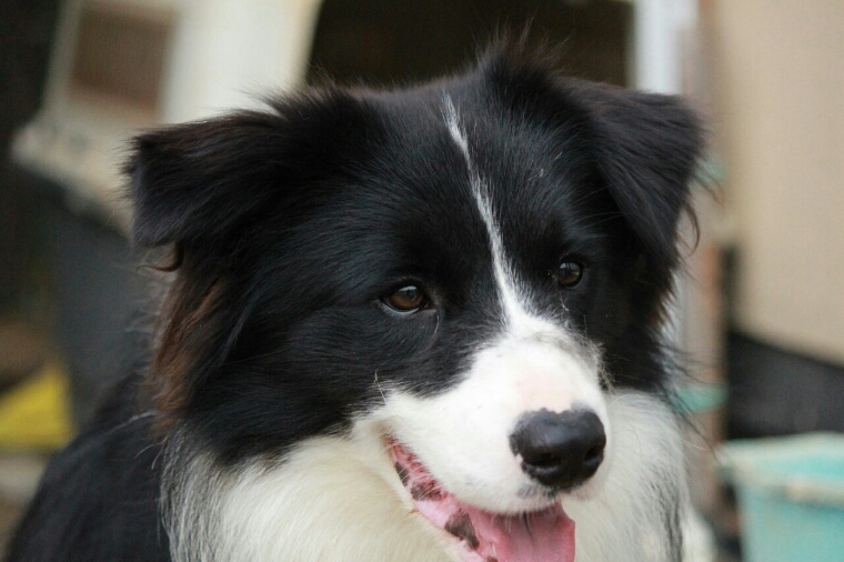 f0246611_20125061.jpg