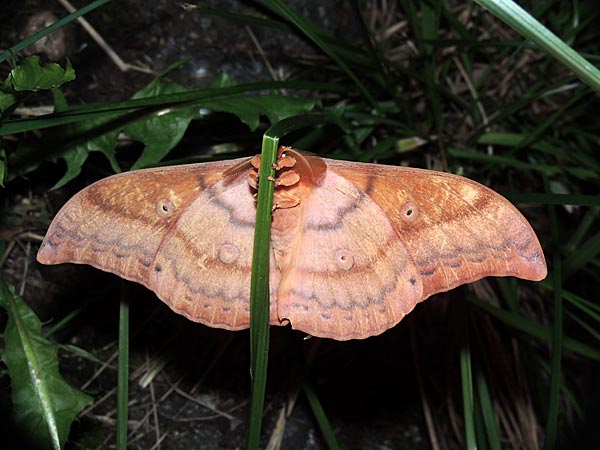 b0033112_21301927.jpg