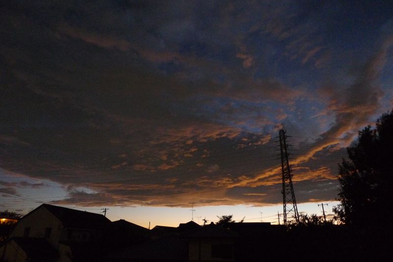 d0220514_2244156.jpg