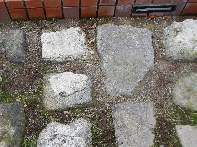 e0336214_1438316.jpg