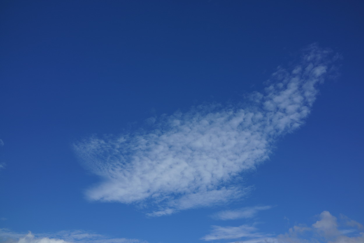 e0222120_1145312.jpg