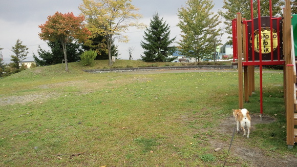 e0227023_81721.jpg