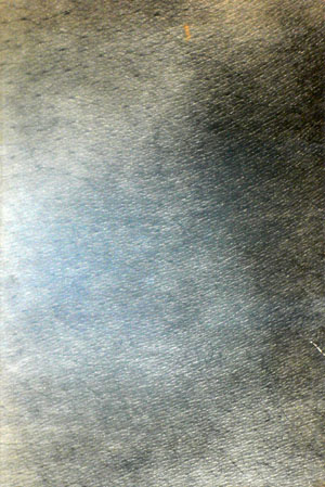 a0164724_1055764.jpg