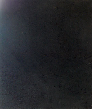 a0164724_109271.jpg