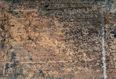 a0164724_9181597.jpg