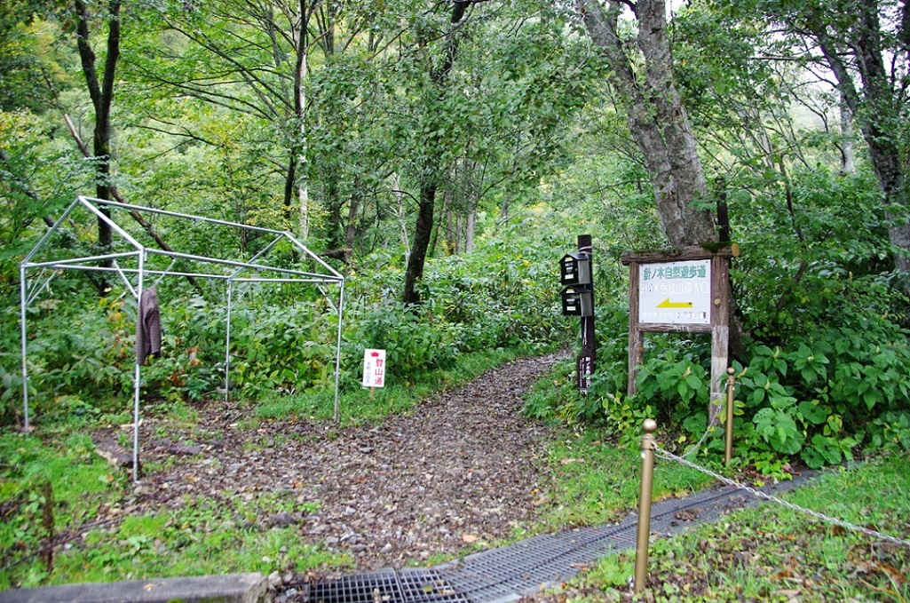b0062024_21233863.jpg