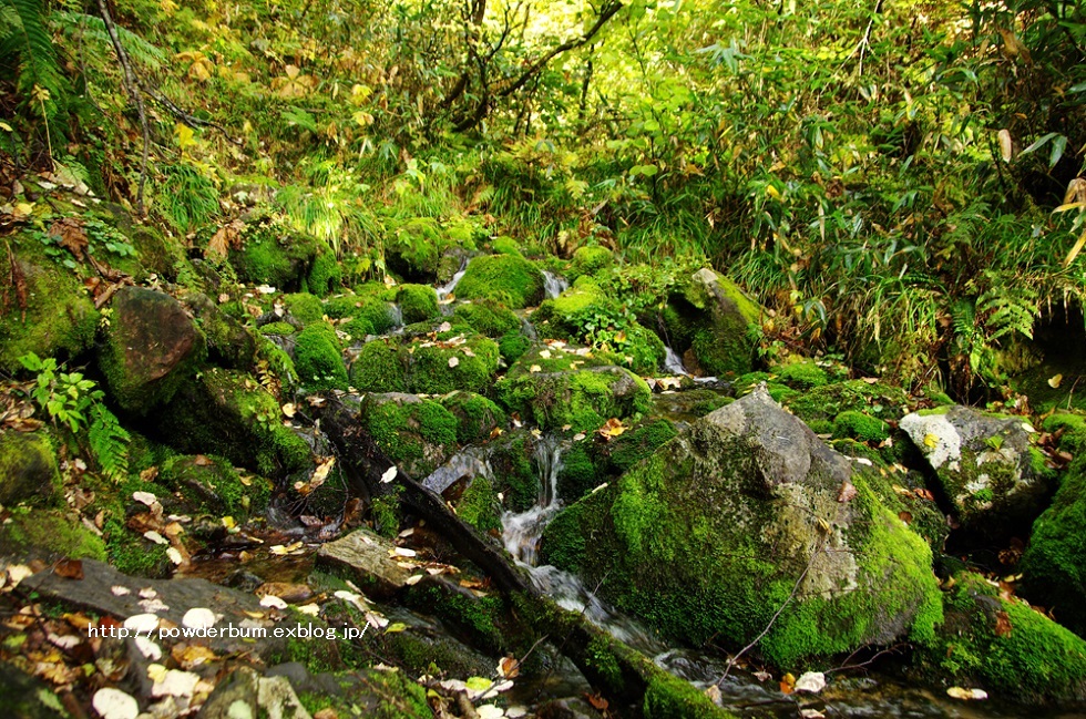 b0062024_21382465.jpg