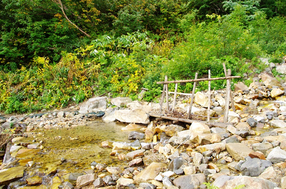 b0062024_21395665.jpg
