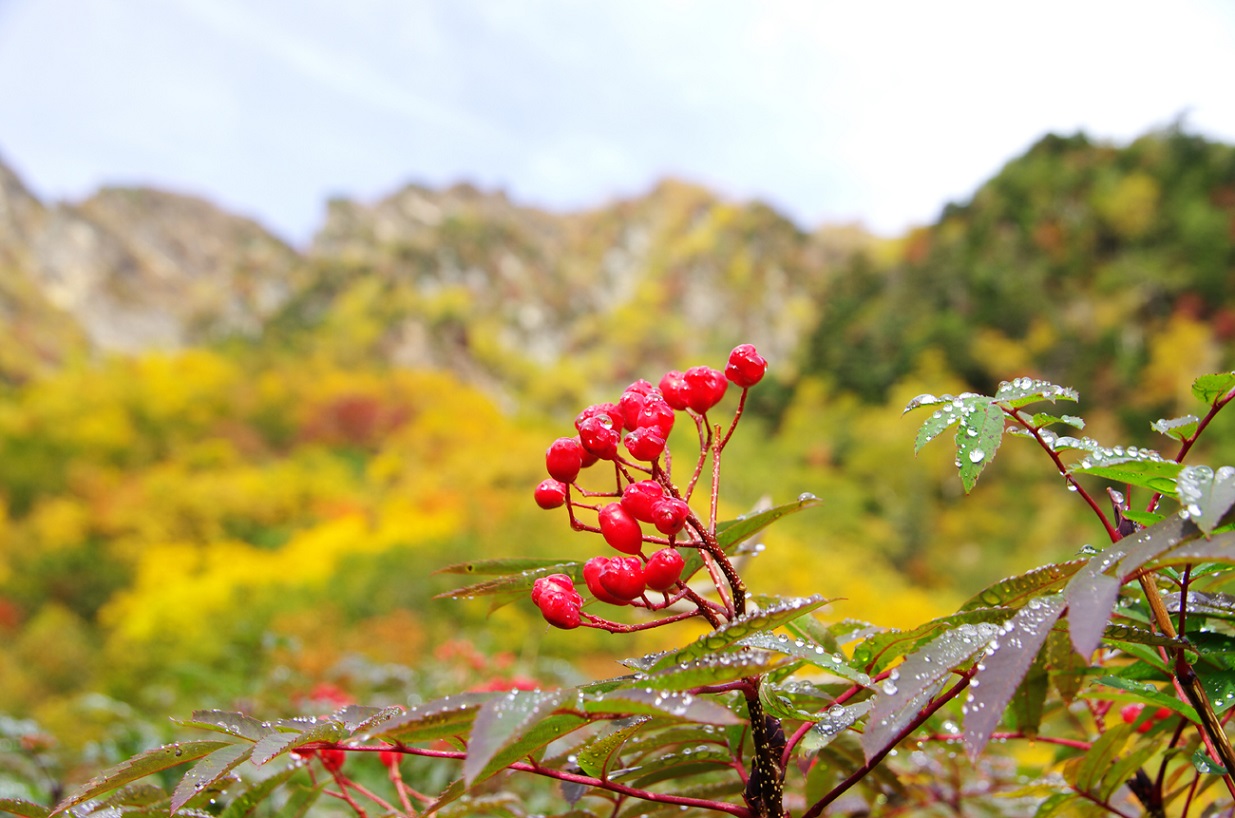 b0062024_2201240.jpg