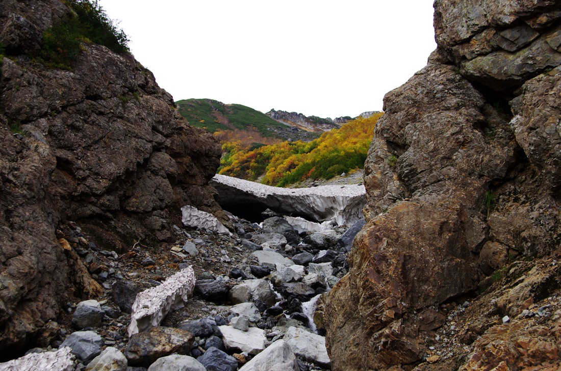 b0062024_22101028.jpg