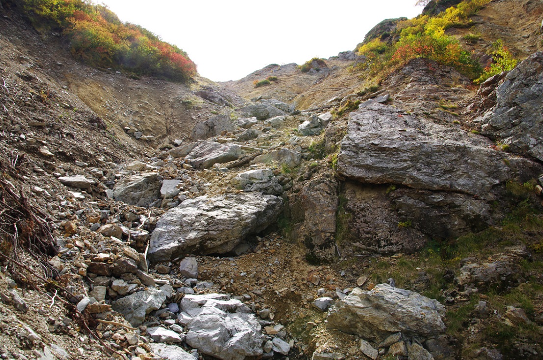 b0062024_22232016.jpg