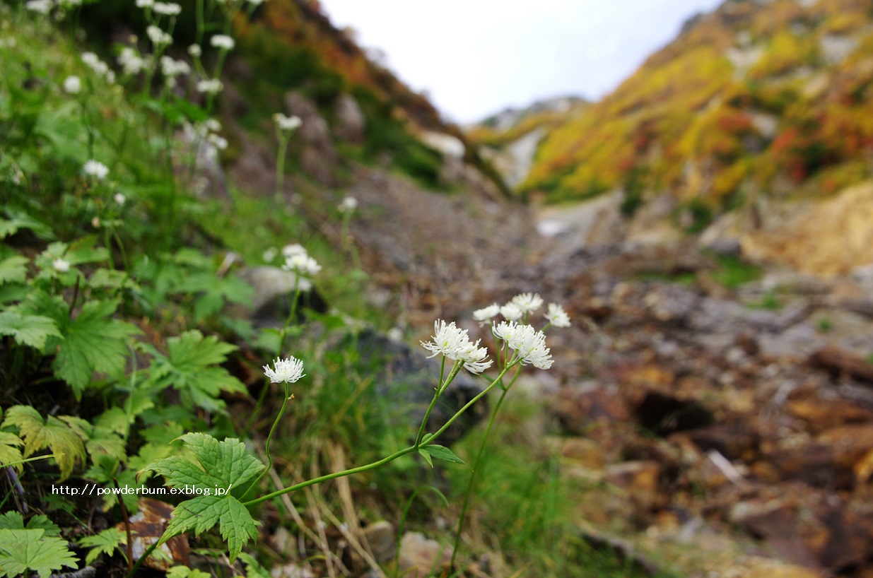 b0062024_225769.jpg