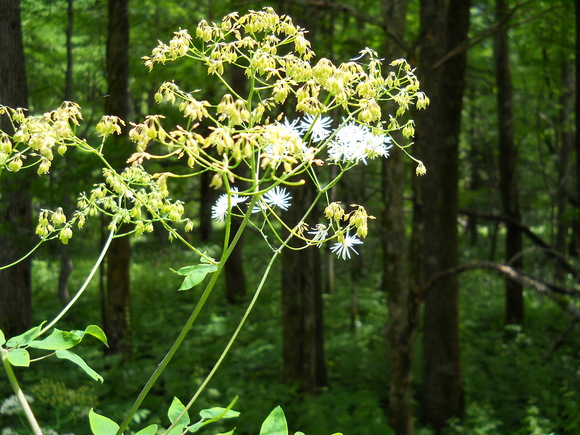 b0251624_2012258.jpg
