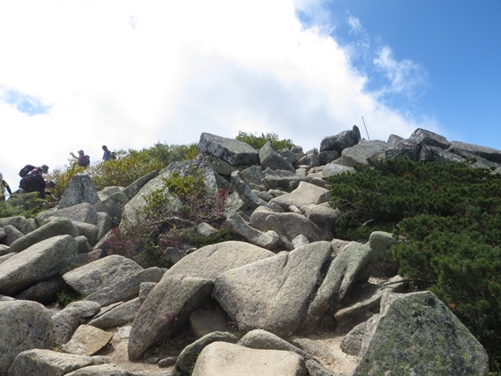 f0040525_20215554.jpg