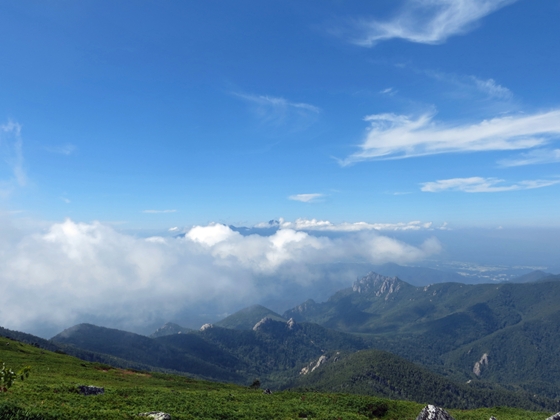 f0040525_2022476.jpg