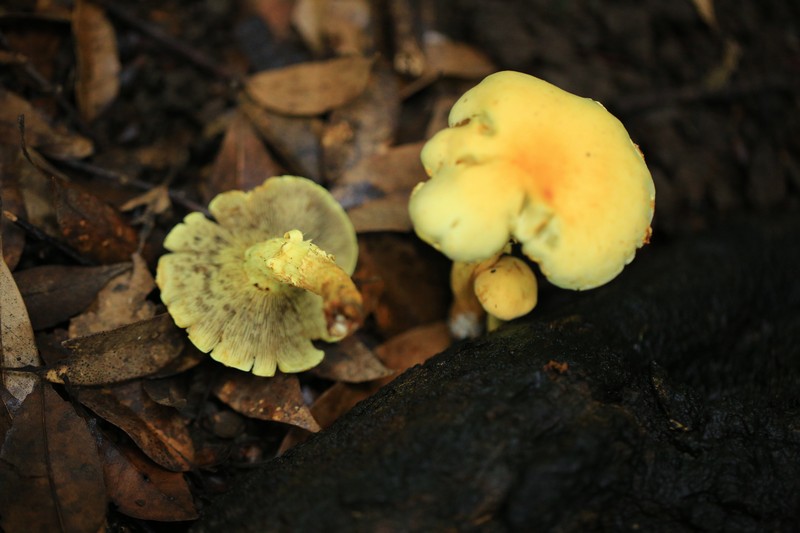 c0104227_05710.jpg