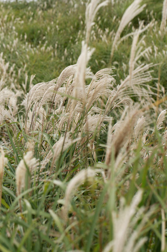 b0147329_973013.jpg