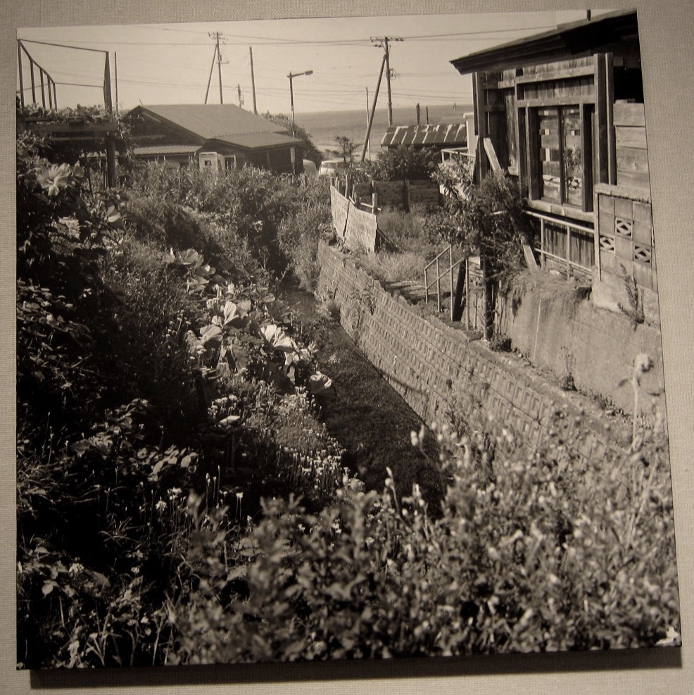 2252)①「PASS[写真展](福島修一の場合 堀内つつみ 大澤信雄)」 ｺﾝﾁﾈﾝﾀﾙ　10月8日(火)~10月13日(日)_f0126829_2233466.jpg
