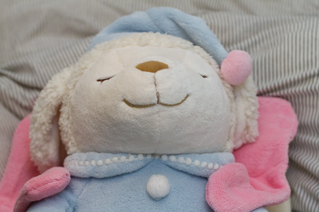 レンジでゆたぽん 首・肩用_a0016730_23274325.jpg