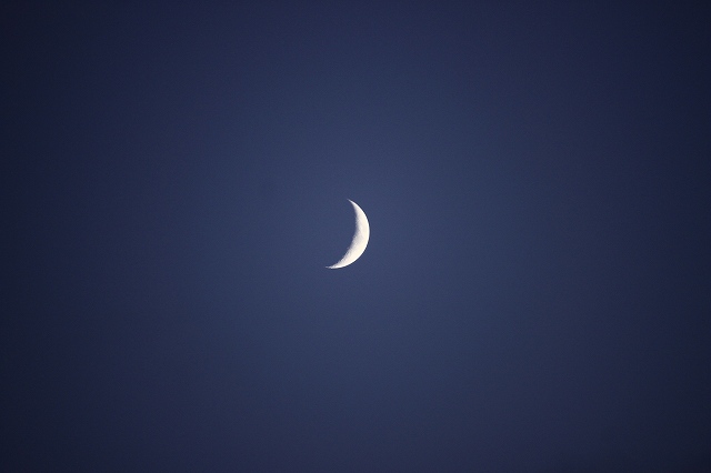 a0045932_20103941.jpg