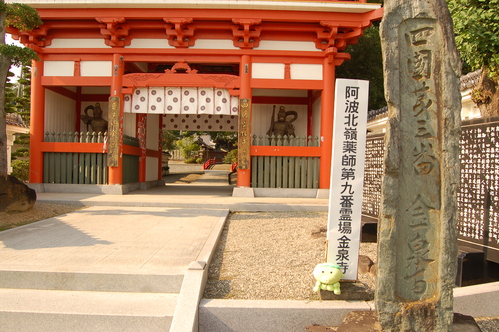 阿波北嶺薬師二十四ヶ所霊場 9番金泉寺 ヒコベイダヨ