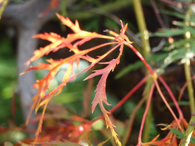 c0117239_824719.jpg