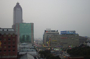 d0320739_1055839.jpg