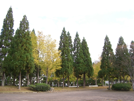 c0264343_2381724.jpg