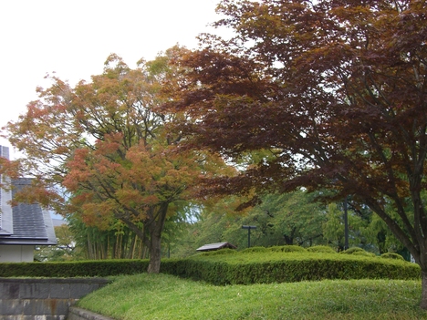 c0264343_4252841.jpg