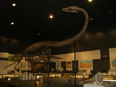 c0264343_42533.jpg