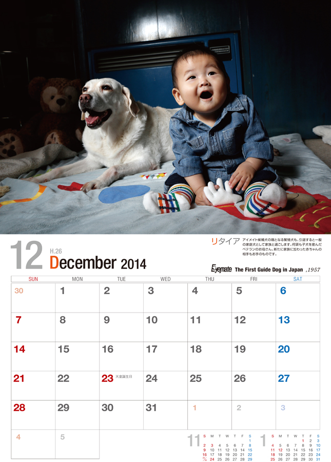 『アイメイト・サポートカレンダー』2014　販売開始！_d0323943_2381753.jpg