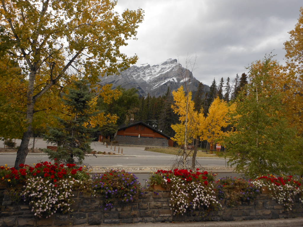 c0122744_10484190.jpg
