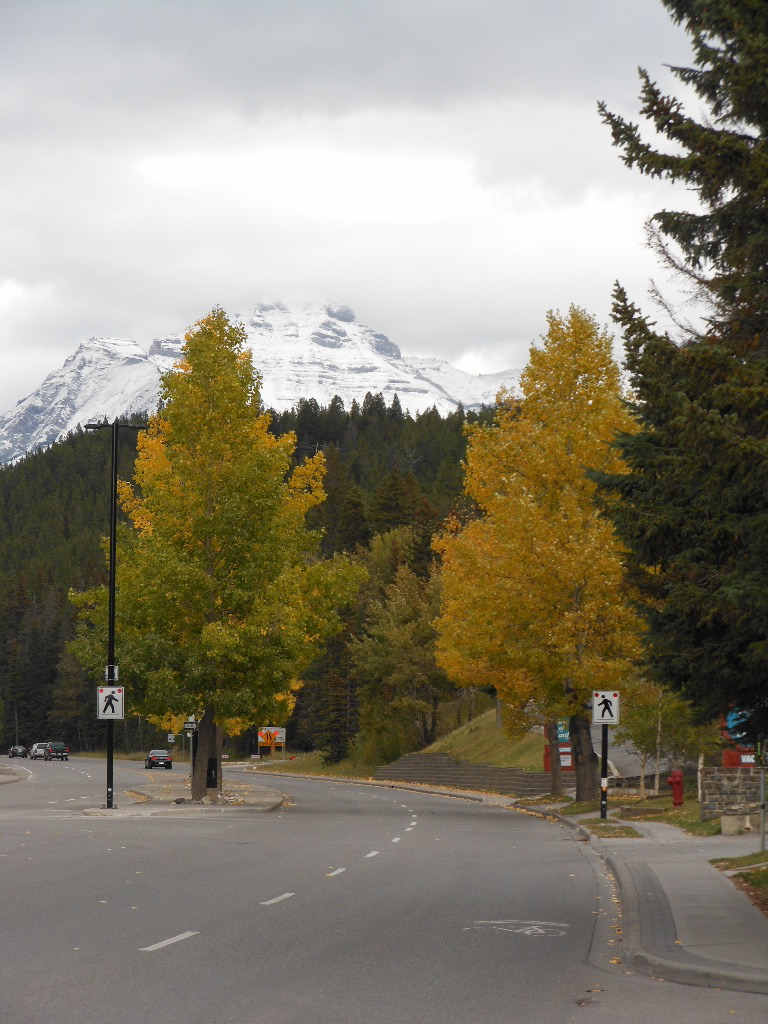 c0122744_1053785.jpg