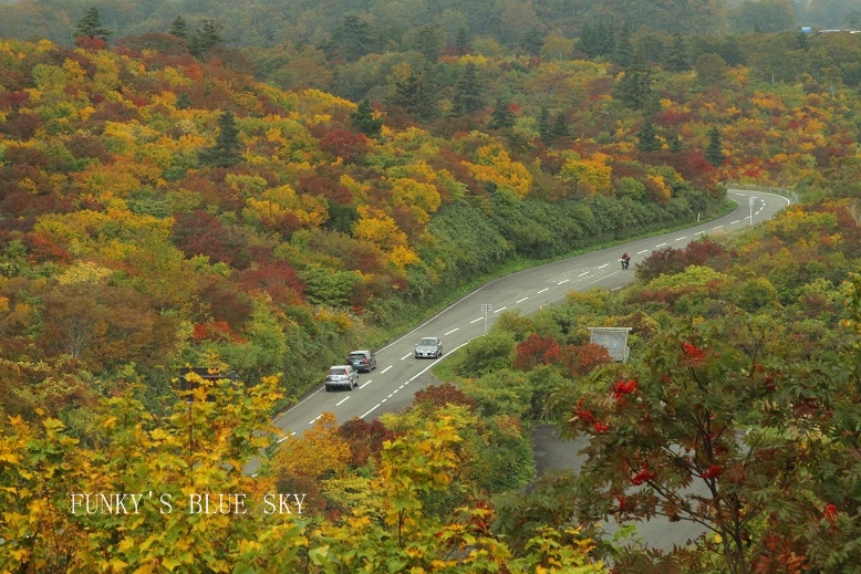 ２０１３・紅葉シーズン開幕～♪_c0145250_1032299.jpg