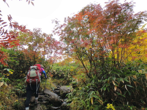 ２０１３年１０月３～７日　苗場山　谷川岳_c0179351_8452998.jpg