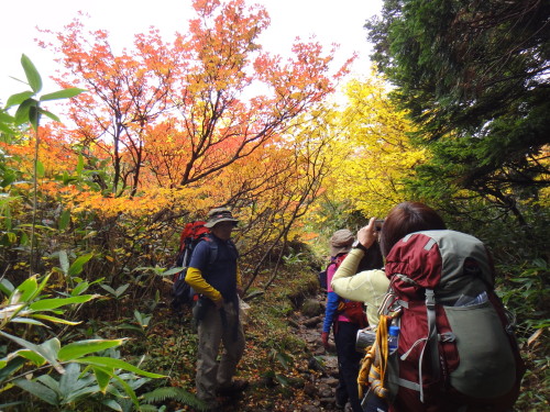 ２０１３年１０月３～７日　苗場山　谷川岳_c0179351_848166.jpg