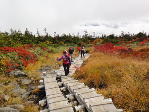 ２０１３年１０月３～７日　苗場山　谷川岳_c0179351_8482974.jpg