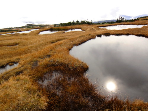 ２０１３年１０月３～７日　苗場山　谷川岳_c0179351_8581027.jpg