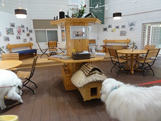 a0201257_022440.jpg