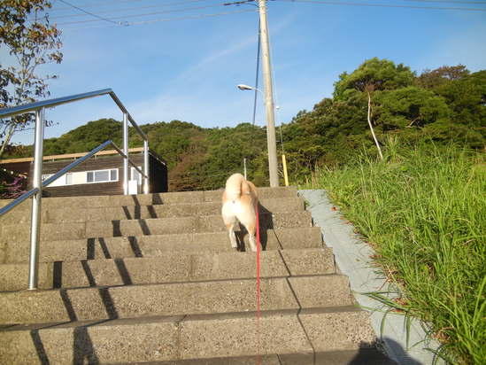 ’13,10,9(水)愛ちゃんの好きな場所!_f0060461_1029172.jpg