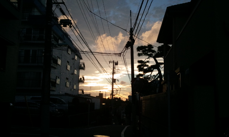 a0134562_23593248.jpg